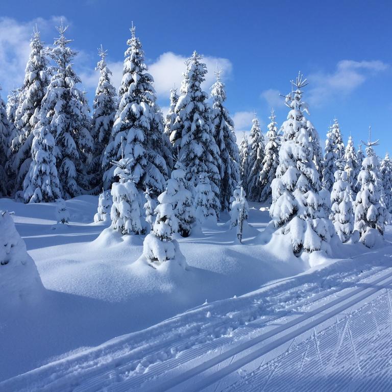 Privat Pohoda Paseky nad Jizerou Esterno foto
