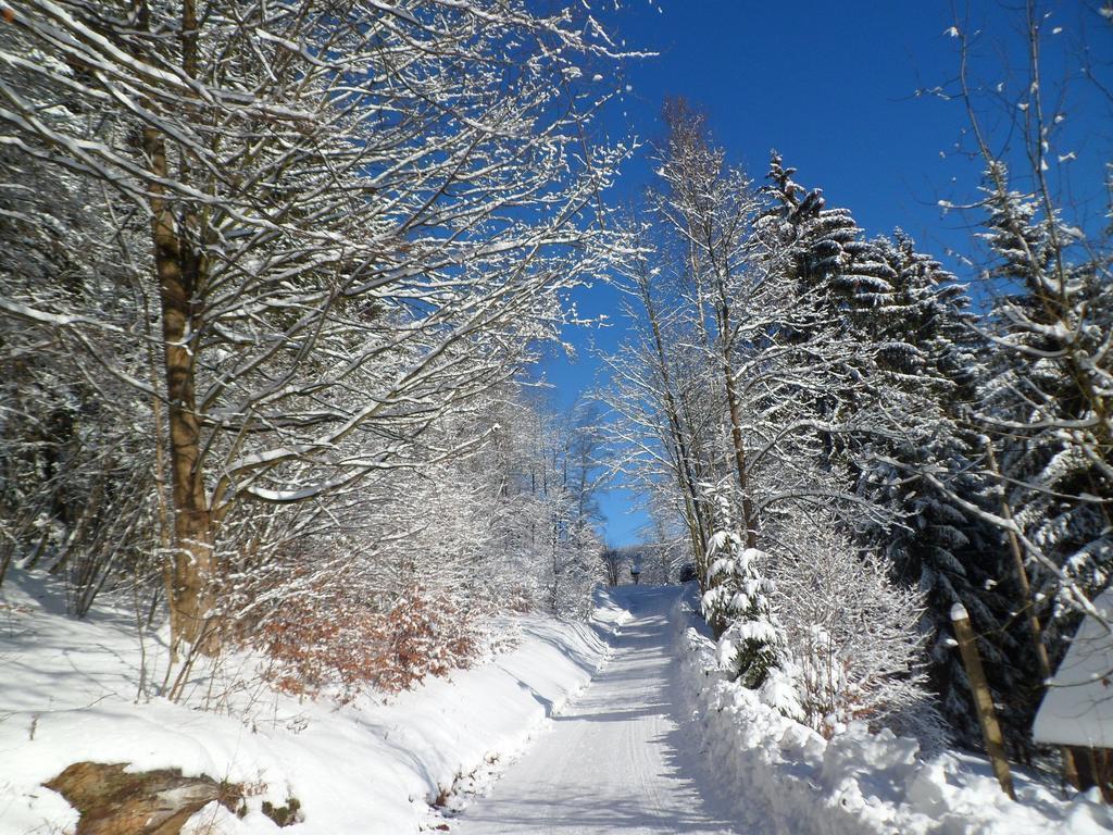 Privat Pohoda Paseky nad Jizerou Esterno foto